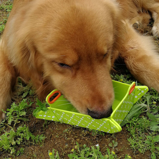 CHOP2BOWL