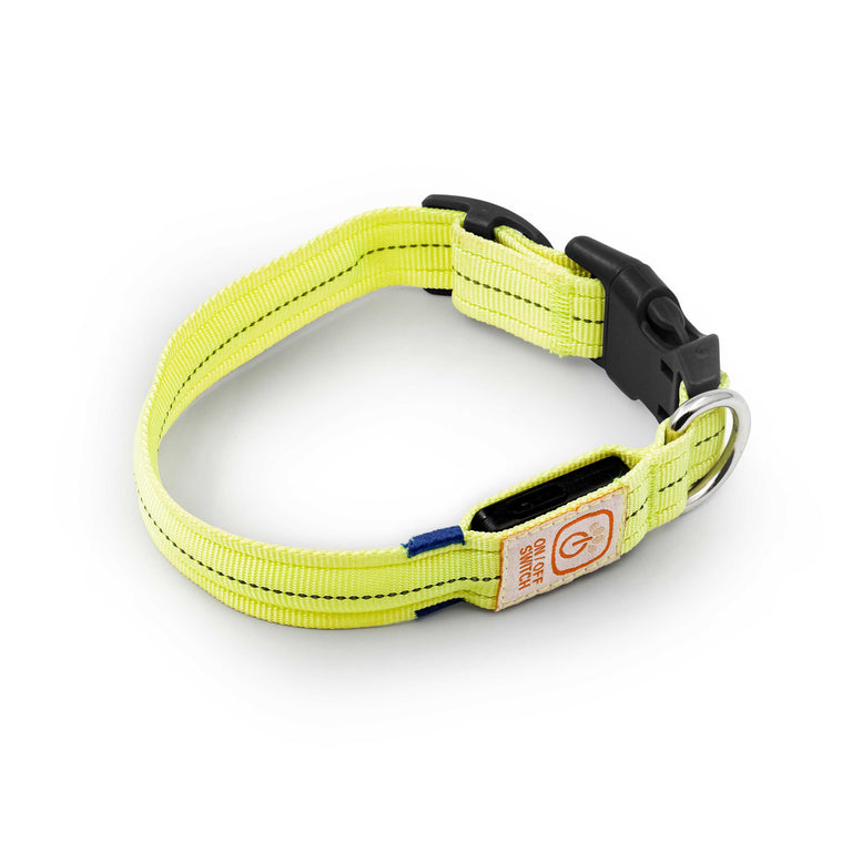Light-up Collar