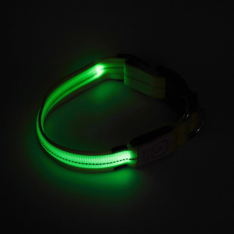 Light-up Collar